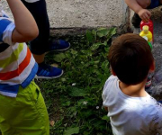 sta-je-na-kraju_35-vrtic-dolina-cuda