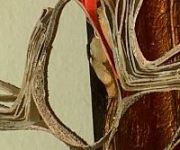 20181212_170732_zima