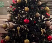 20181214_170335_zima