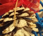 20181218_125201_zima