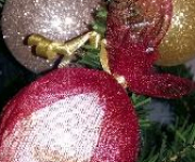 20181227_081423_zima